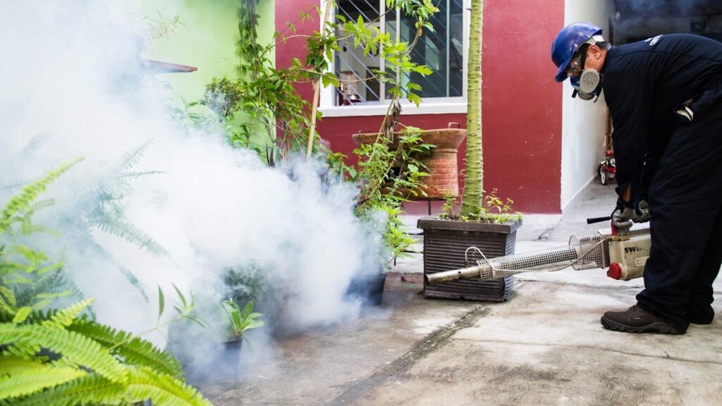 14119 maximo control de plagas 1024x576