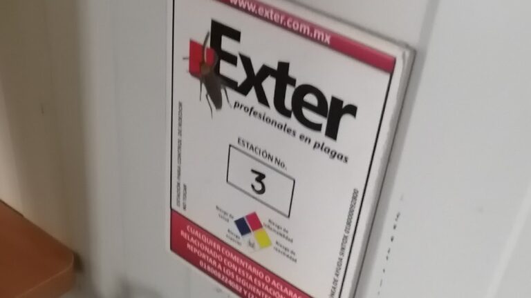 14121 exter fumigaciones veracruz 768x432