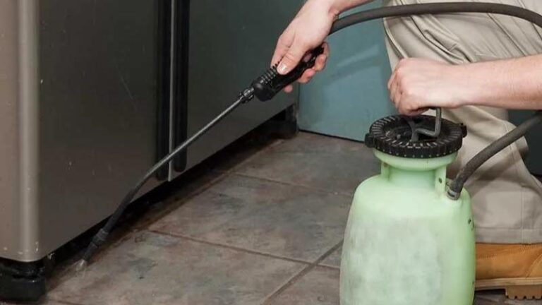 14141 control de plagas insecticidas y fumigaciones 768x432