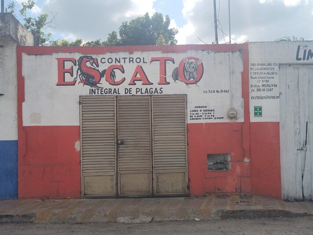 14159 fumigadora escato 1024x768