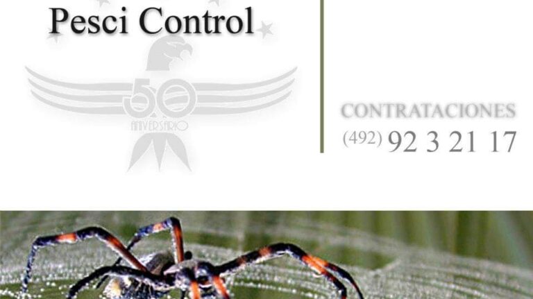 14172 pesci control de plagas urbanas 768x431