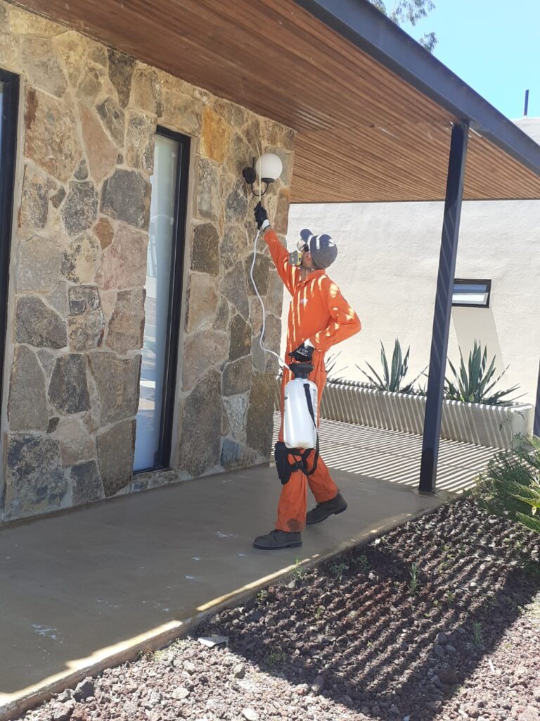 14203 agencia de limpieza azur 768x1024