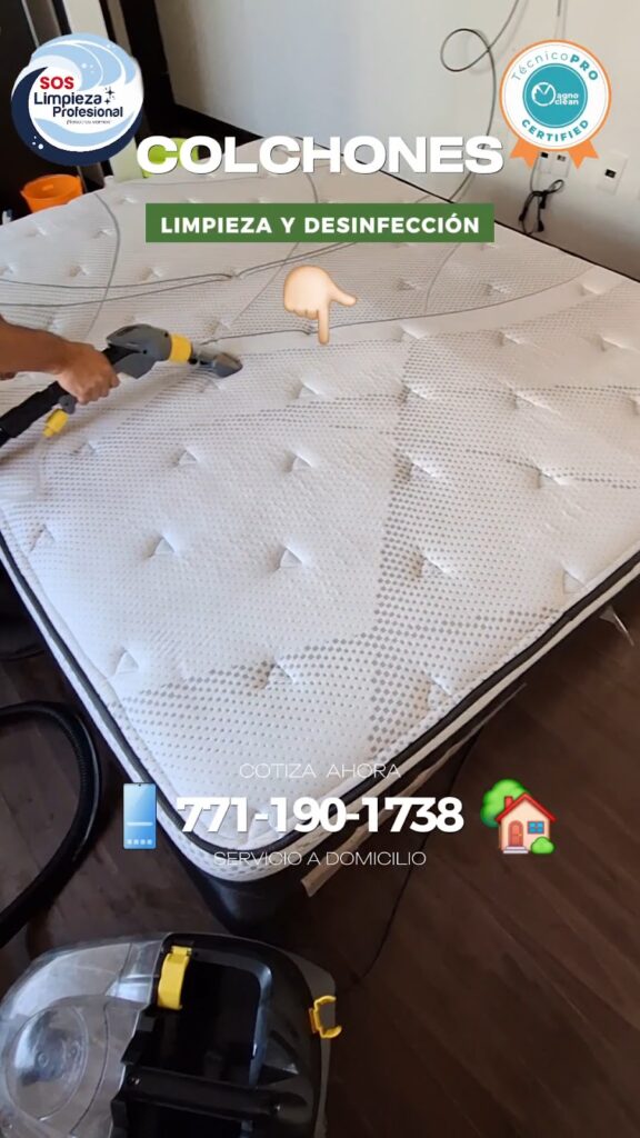 14430 sos limpieza profesional pachuca 576x1024