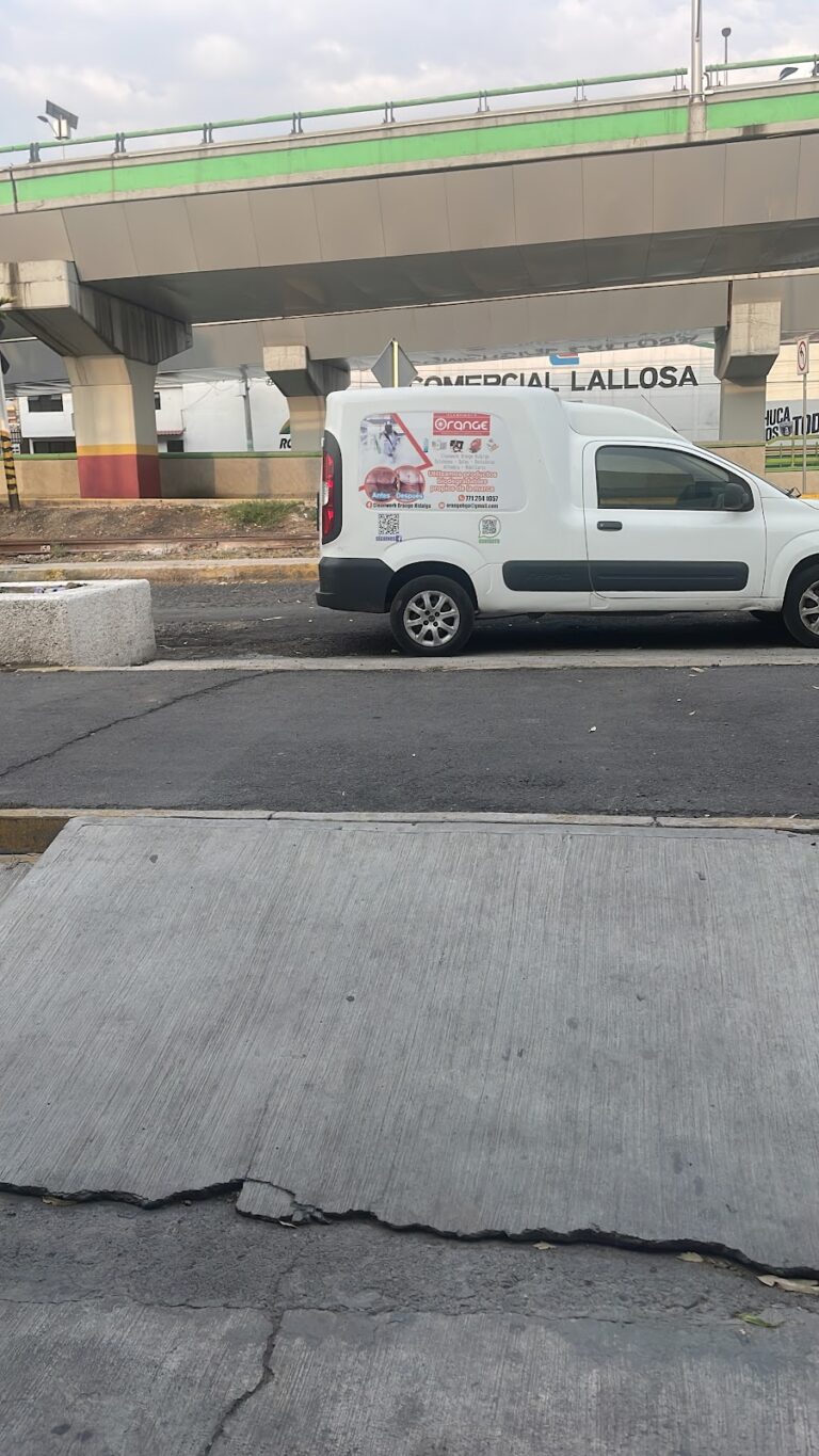 14434 cleanwork orange hidalgo 768x1365