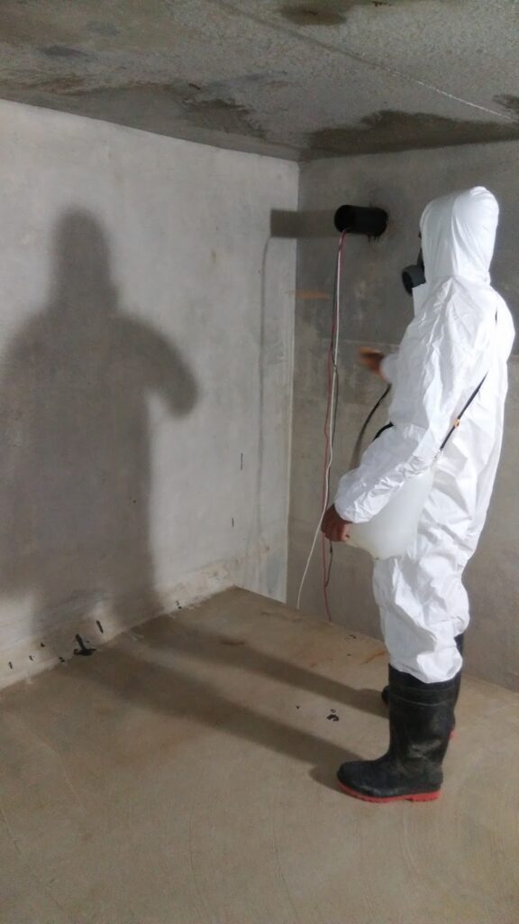 14460 limpieza de tinacos y cisternas servicios ecoclean 576x1024