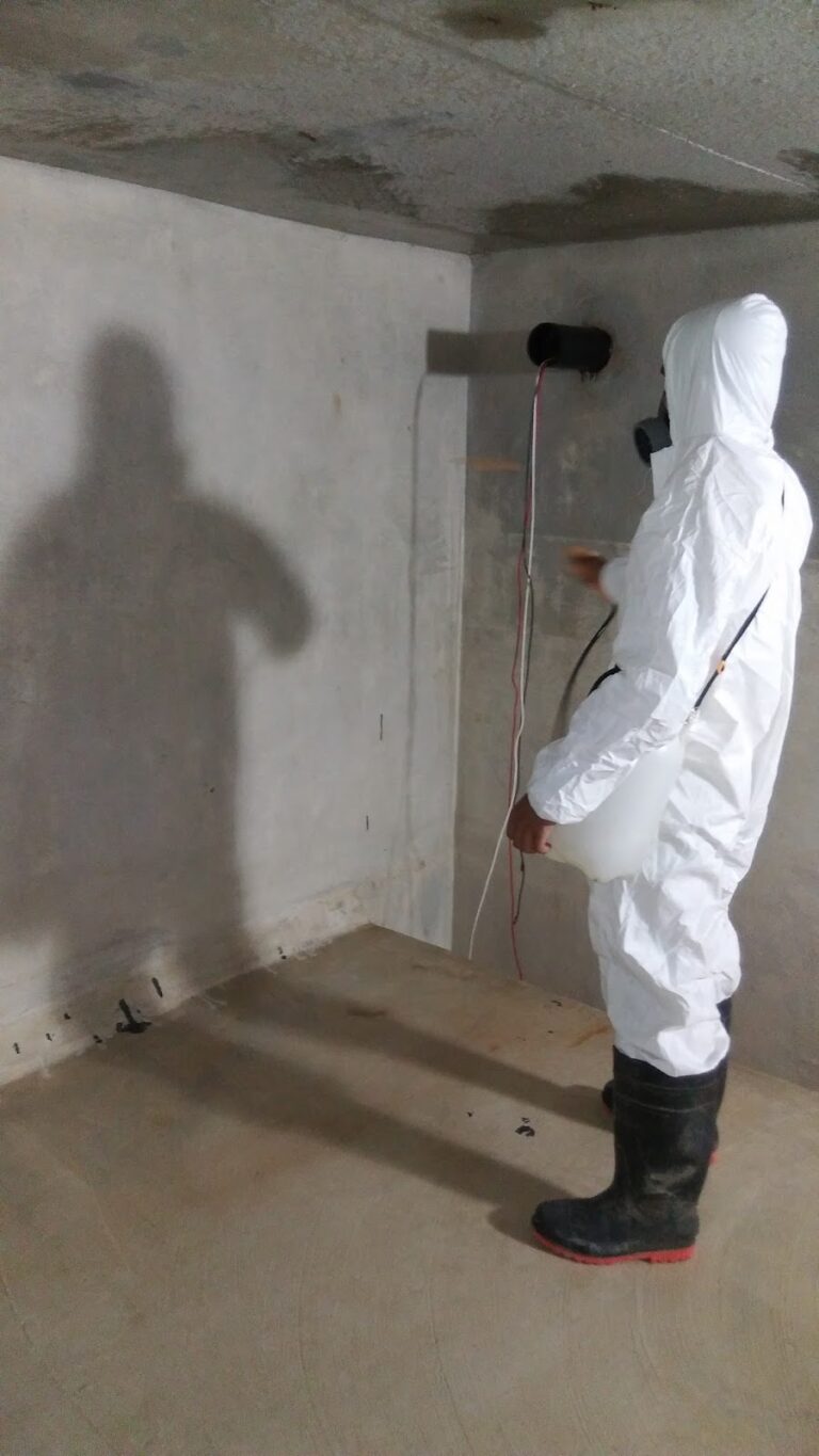 14460 limpieza de tinacos y cisternas servicios ecoclean 768x1365