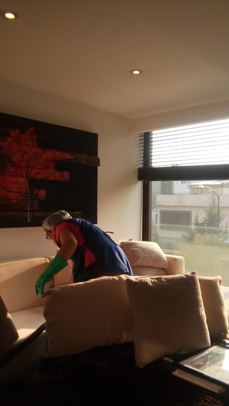 14490 casa limpia. ama tu vida ama tu hogar 768x1362