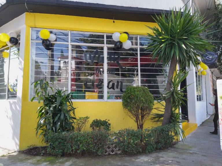 14496 clean walkers naucalpan 768x576