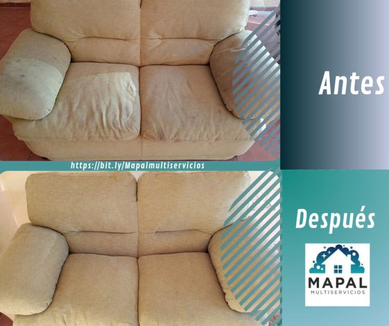 14708 mapal limpieza profunda los mochis 768x644