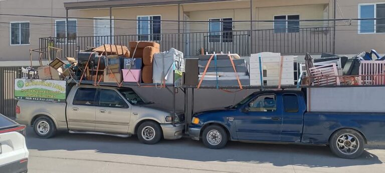 14802 mudanzas loro 768x346