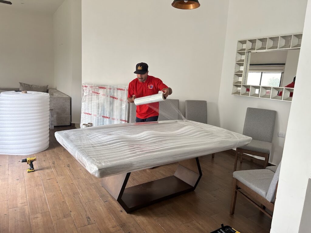 14866 fletes y mudanzas ecoflet 1024x768