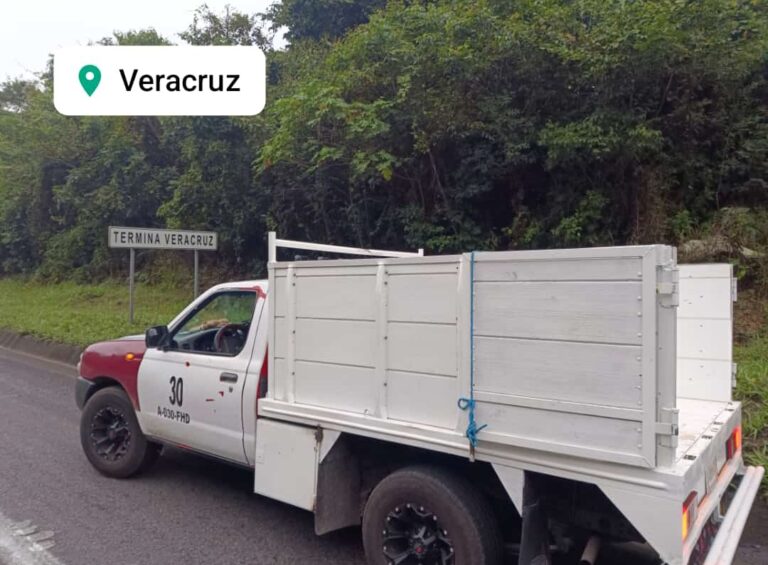 14931 mixtas fletes y mudanzas de chilpancingo 768x565