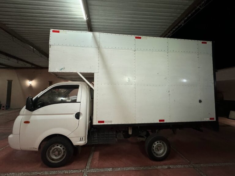 14943 servicio publico de carga 768x576