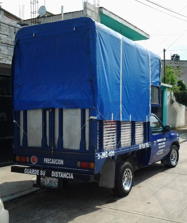 14953 fletes y mudanzas badillo 768x918