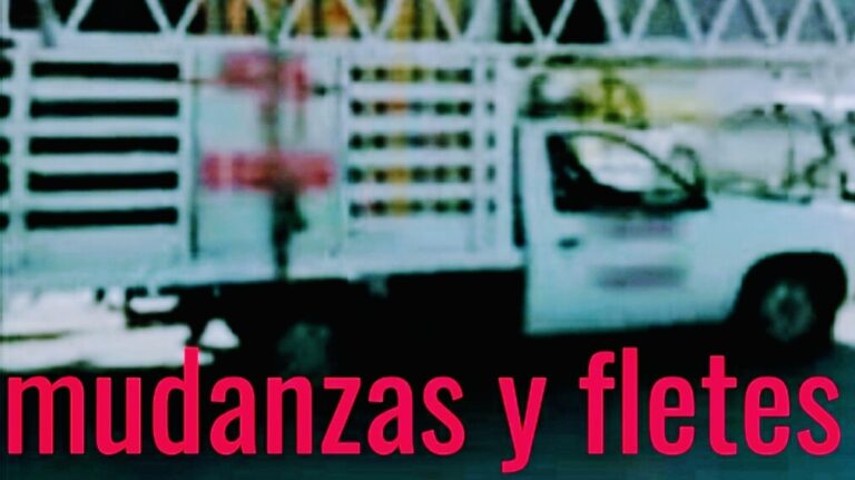 14955 fletes y mudanzas guadalajara 768x431