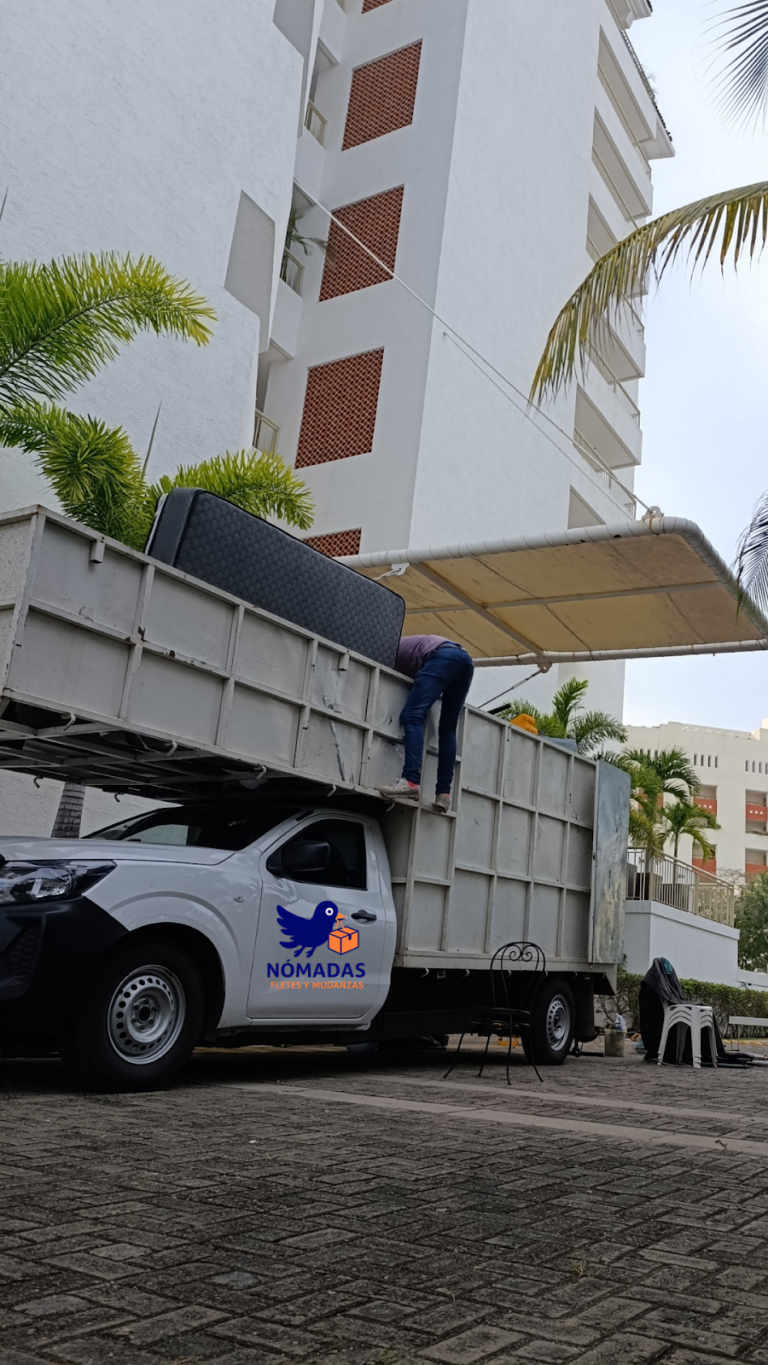 14966 nomadas fletes y mudanzas 768x1365