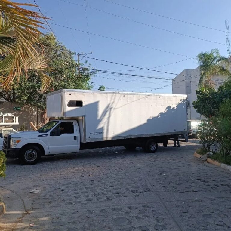 14974 mudanzas ramex en zapopan 768x768