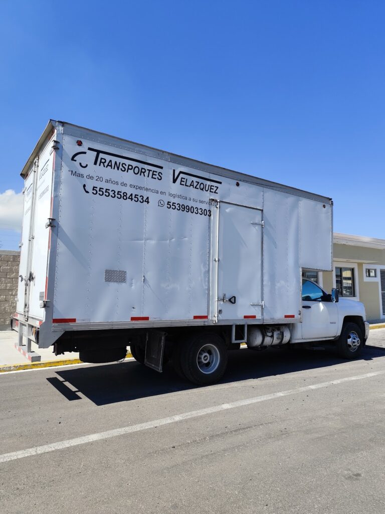 14985 fletes y mudanzas velazquez 768x1024