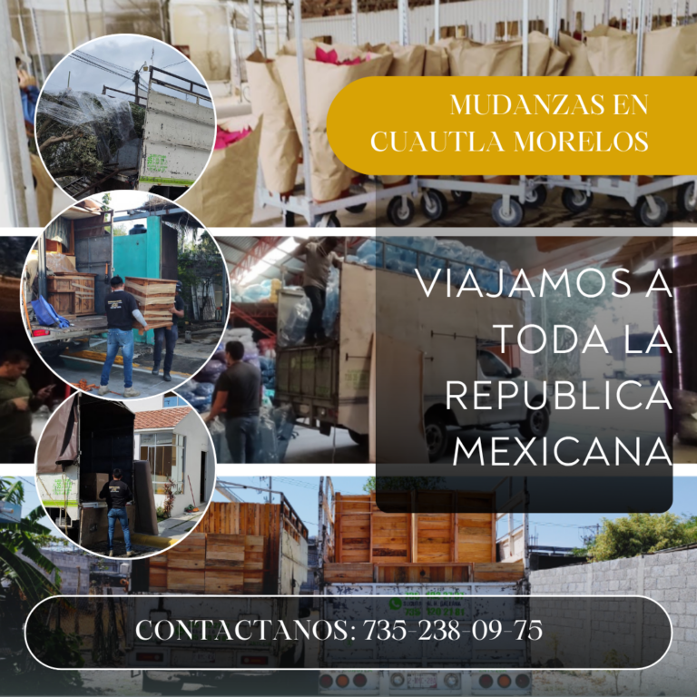 15011 fletes y mudanzas dandu 768x768