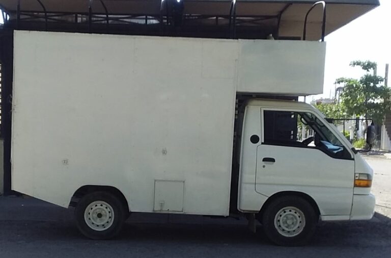 15025 fletes y mudanzas salvatore 768x506