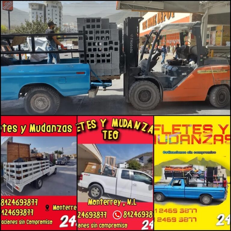 15027 fletes y mudanzas teo 768x768