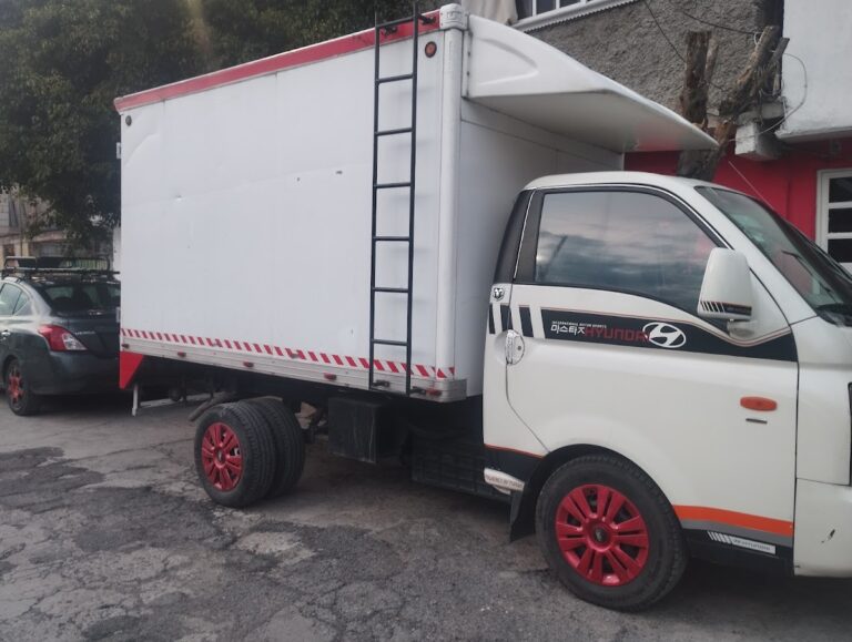 15066 paqueteria fletes y mudanzas 8221 sifuentes8221 768x579