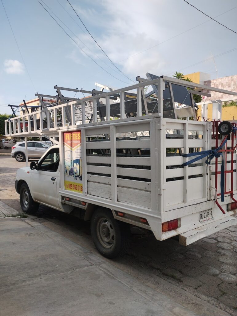 15147 fletes y mudanzas dumbo 771x1024