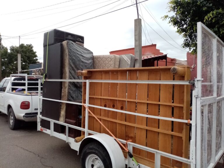 15149 fletes y mudanzas amavizca 768x576