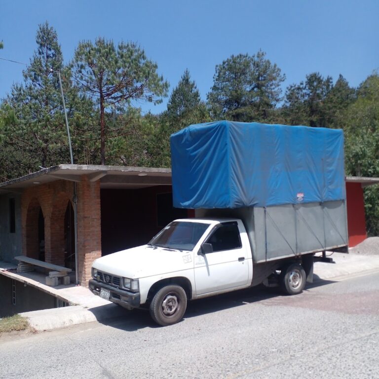 15198 fletes economicos orizaba 768x768