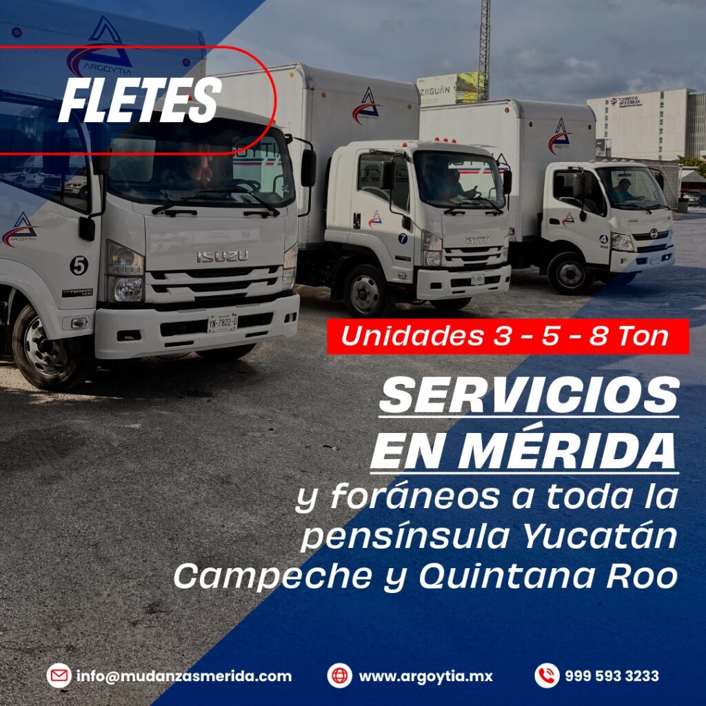 15223 fletes y mudanzas argoytia almacenaje y distribucion 1024x1024
