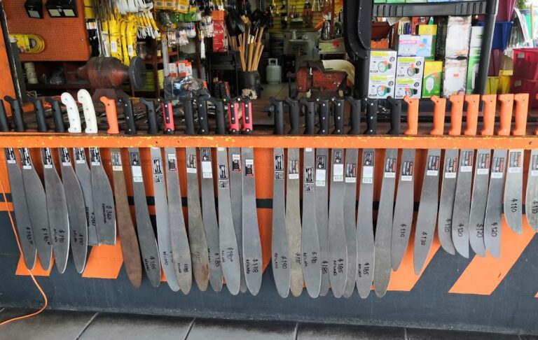 15319 la palmita 768x486