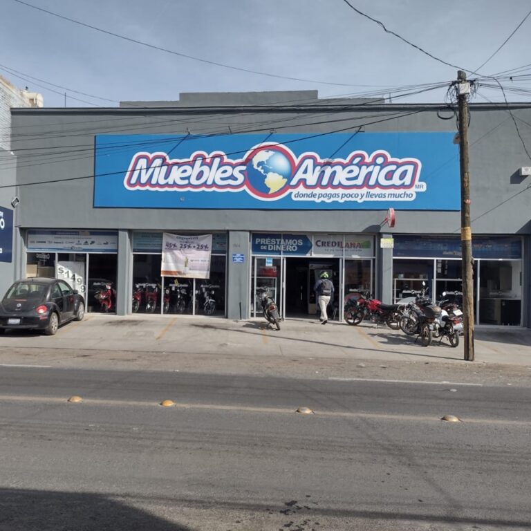 15676 muebles america suc. independencia irapuato 768x768