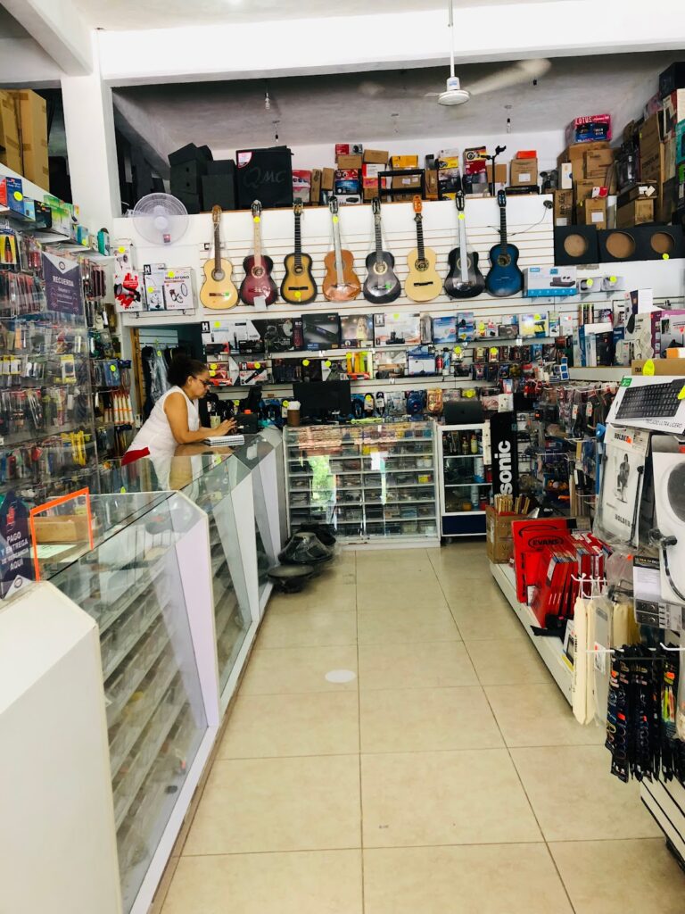 16078 electronica mitron 768x1024