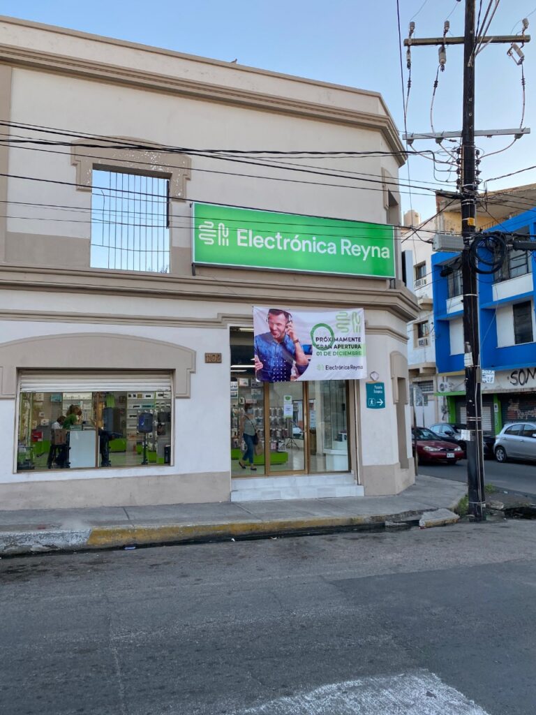 16236 er electronica reyna 768x1024