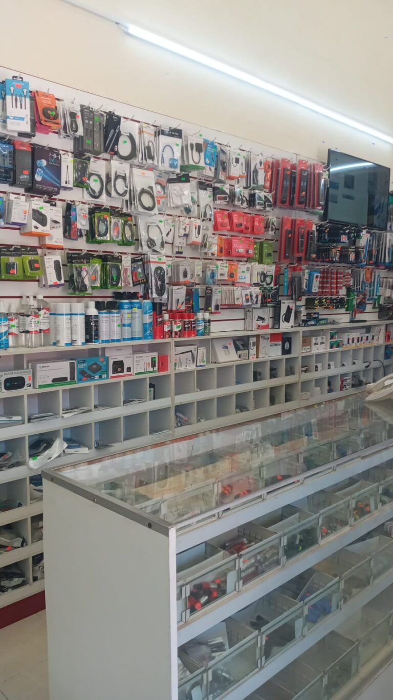 16323 electronica gonzalez 768x1365