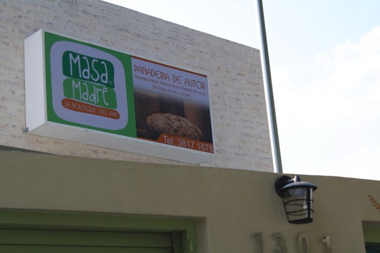 16450 masa madre la boutique del trigo 768x512