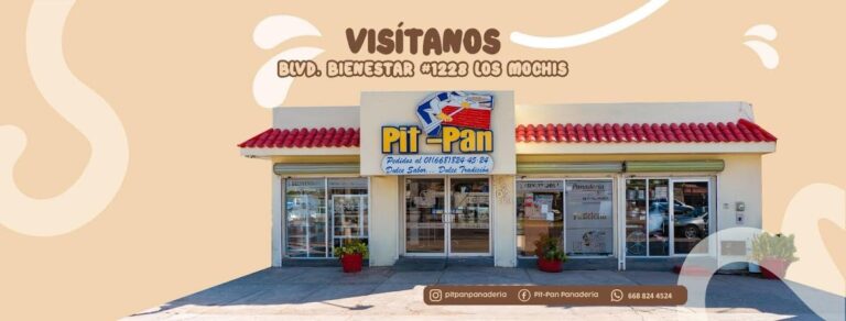 16592 pit pan 768x292