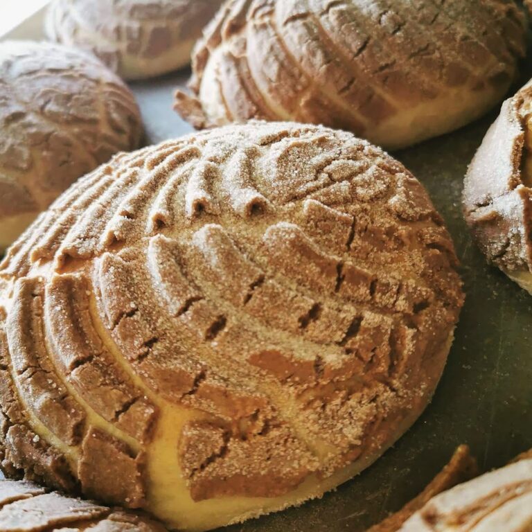 16664 panaderia la bufa 768x768