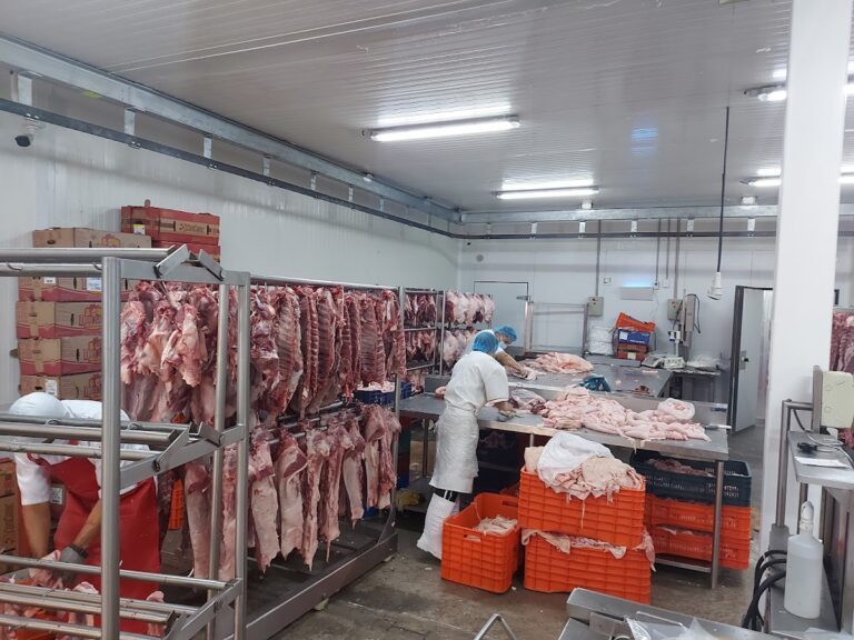 16806 carnico 768x576