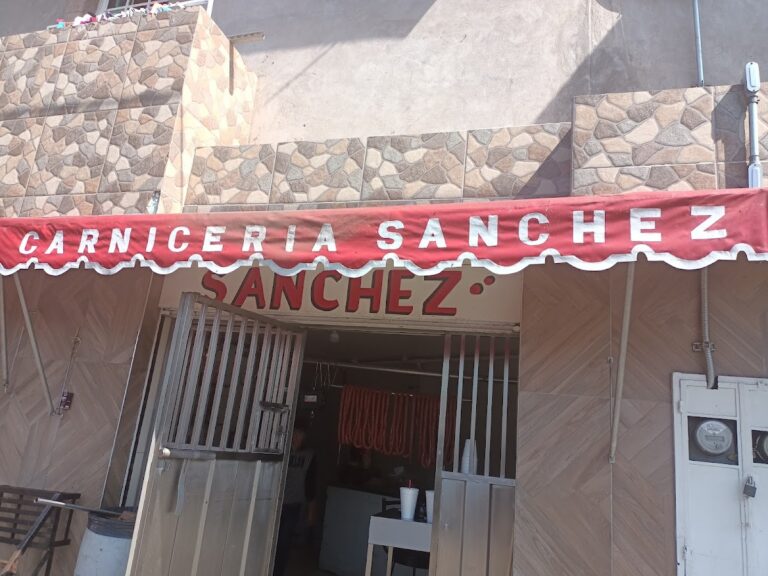 16849 carniceria sanchez 768x576