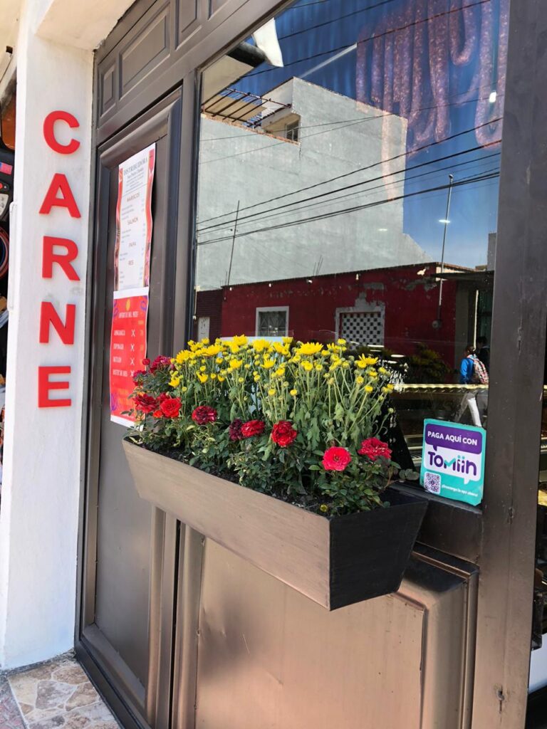 16889 distribuidora san pedro cholula 768x1024