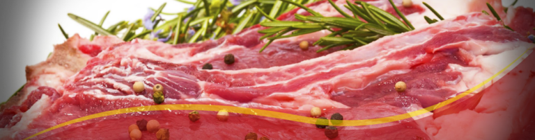 16983 carnicerias el jarocho 768x202