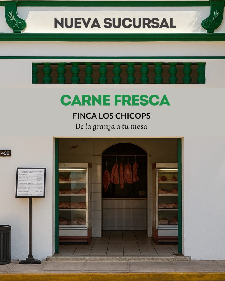 17000 carnes y cortes finos valladolid 768x960