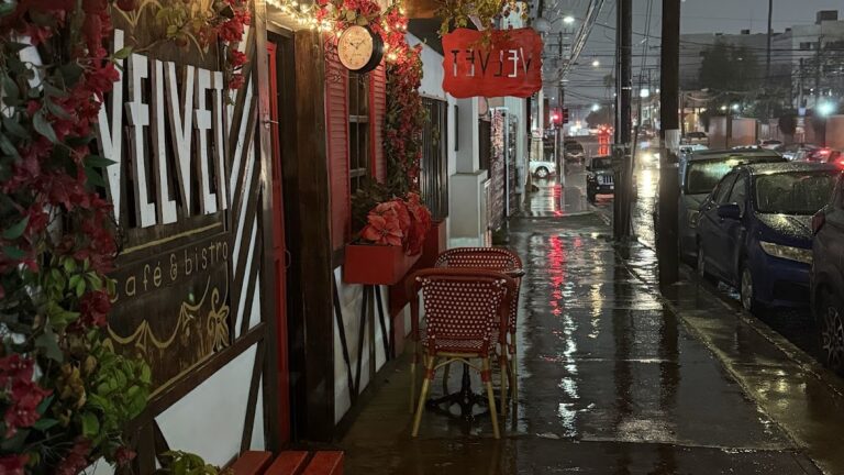 17002 velvet cafe bistro 768x432