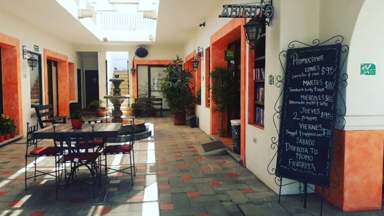 17025 cafe cabo 768x432