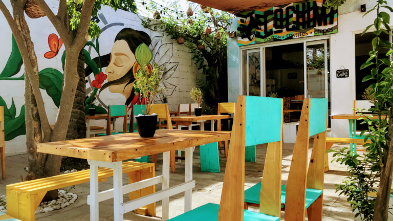 17028 cafeteria cochimi 768x432