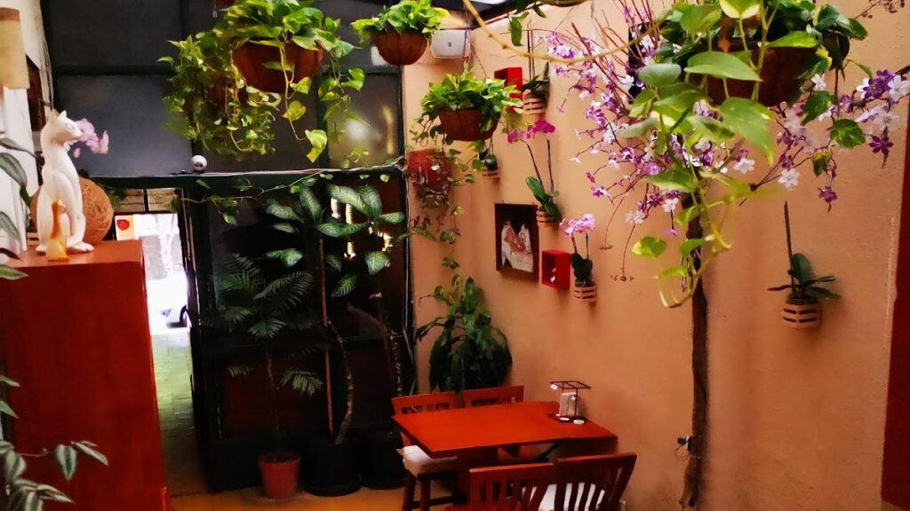 17157 restaurant cafe el gato cafe 1024x576