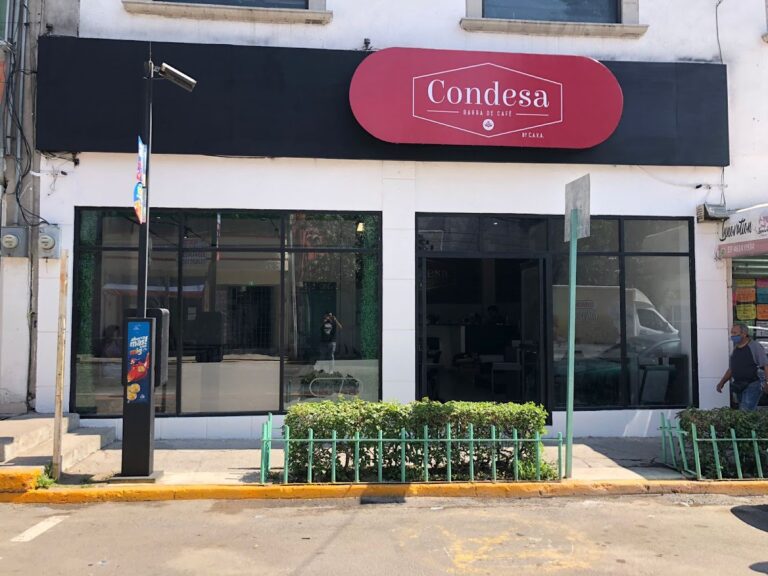 17194 cafeteria condesa barra de cafe 768x576