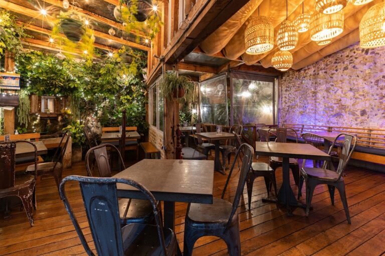 17333 flor catorce centro 768x512