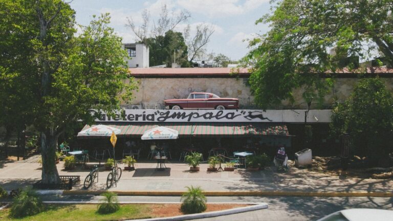 17349 cafeteria merida impala ☕️ the first coffee shop since 1958 on paseo de montejo centro 768x432